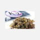 K2 - Spice