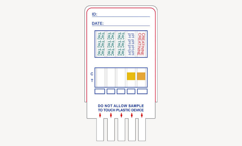 hash-test-p3 Hash test Panel 3